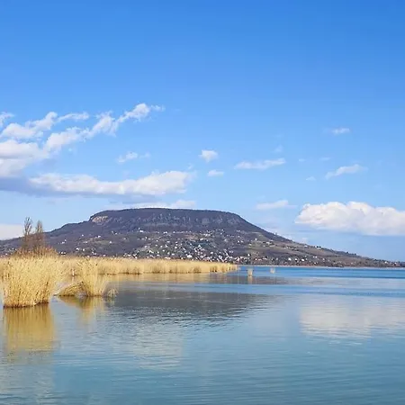 度假居 Erdoszelen Haziko Vendeghaz *