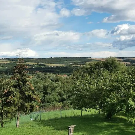 Erdoszelen Haziko Vendeghaz