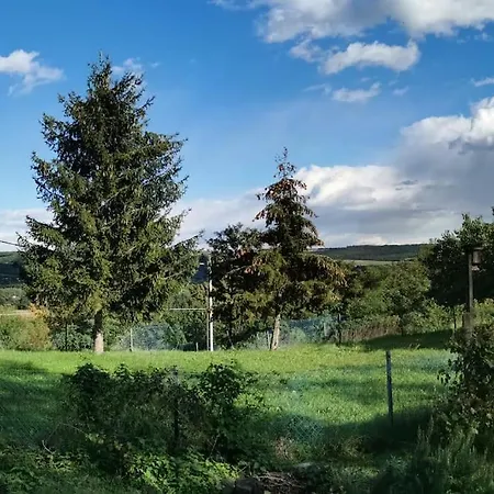 Erdoszelen Haziko Vendeghaz 別荘 *