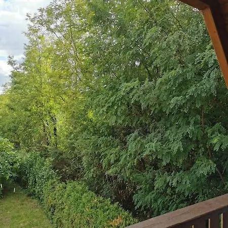 別荘 Erdoszelen Haziko Vendeghaz *